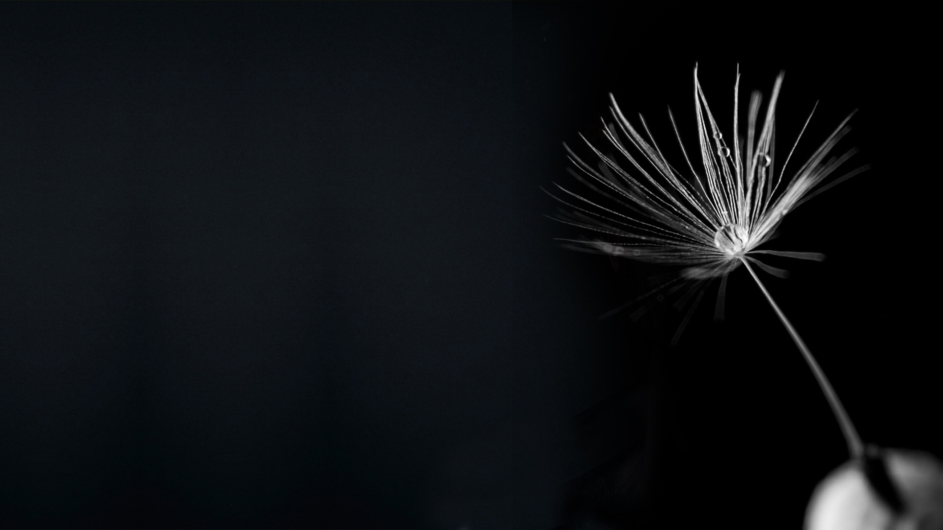 Naincy Tulsyan strategic graphic and brand designer in Hyderabad